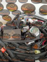 Chicote Principal do Chassis LinkBelt 210 X2 - Imagem 3