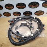 Chicote motor Isuzu 4JJ1 GB3